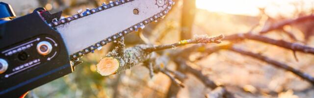 Every Major Pruning Saw Brand Ranked Worst To Best