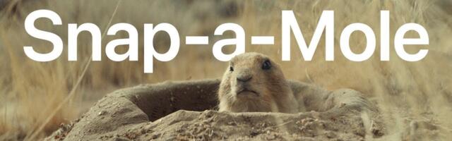 Apple Shares New 'Snap-a-Mole' Camera Control Ad