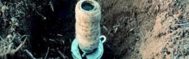 Trump Administration Quietly Green-lights Use of ‘Cyanide Bombs’ on Public Lands