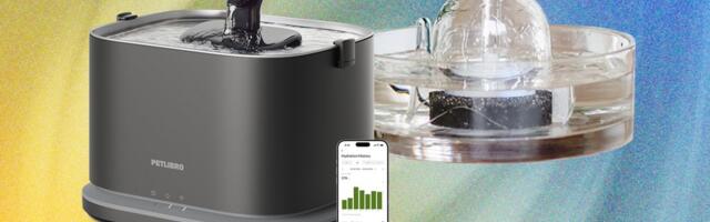 9 Best Cat Water Fountains, WIRED-Tested and Reviewed (2025)