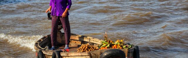 How to save the Mekong Delta