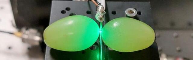 Could microwaved grapes be used for quantum sensing?