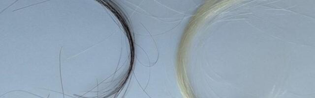 A century of hair samples proves leaded gas ban worked