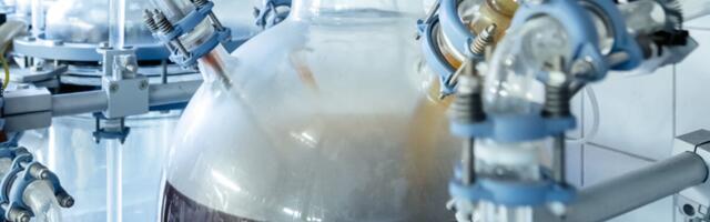 This Black Fungus Turns Plastic Waste Into Edible Ingredients