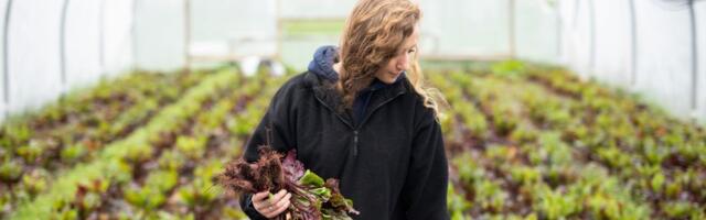 Incentives for Agribusiness Innovations