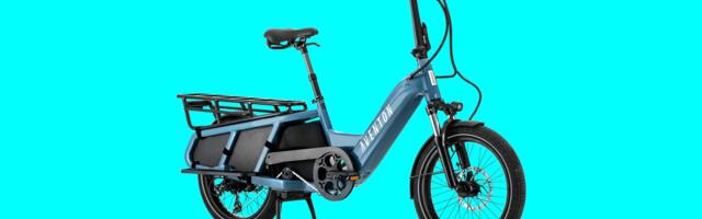 8 Best Electric Cargo Bikes for Families (2024)