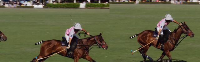 Cloning Came to Polo. Then Things Got Truly Uncivilized