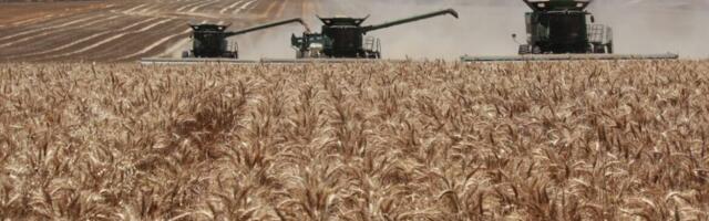Australia-China Fresh Produce Trade Relationship Supported by Cross-Border BNPL Finance