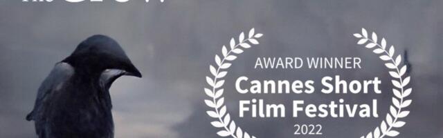 How an award-winning AI film was brought to life by text-to-video generation