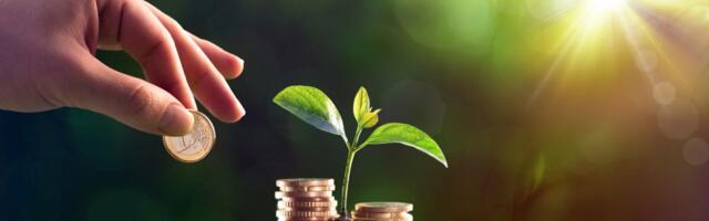 Klarna and Milkywire Look to Close Biodiversity Funding Gap With Nature Transformation Fund