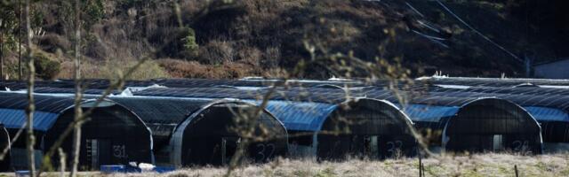 Over $450,000 in back pay, damages awarded to workers at Half Moon Bay farms where mass shootings took place