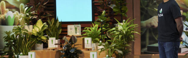 What Happened To The Flora Smart Plant Monitor From Shark Tank Season 15?