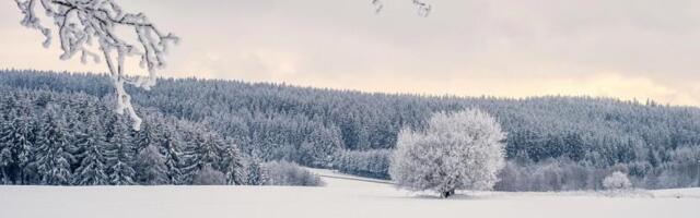 Crypto markets feel the chill, Base, ether.fi reorganize layer-2 landscape