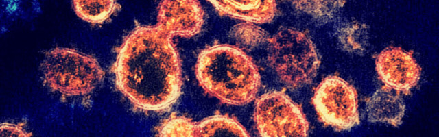 Scientists use AI to identify existing drugs to fight COVID-19
