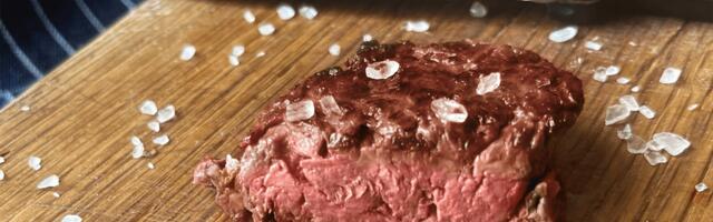 Adamo Foods grills £1.5 million to bring the not-beef to market