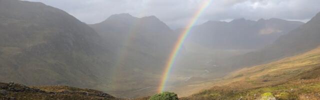 Finding Scotland’s ‘lost’ ice age pinewoods