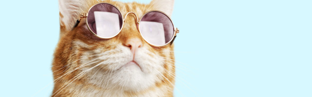 Spain’s copycat startups: shame or gain?