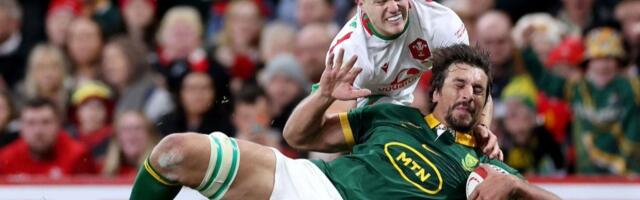 Wales vs South Africa free streams: How to watch Autumn International 2025, TV Channels, Preview & Team News