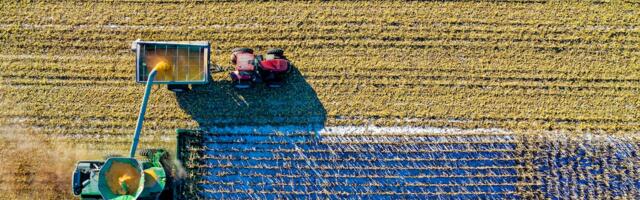 Unlocking Secrets to Eco-Friendly Farming Revolution