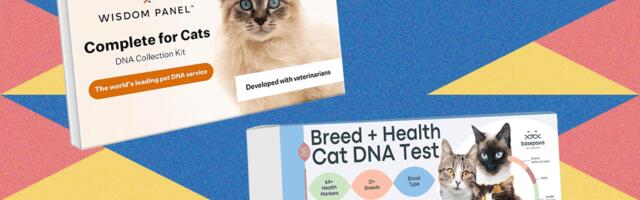 I Tried the Best At-Home Pet DNA Test Kits on My Two Cats (2025)