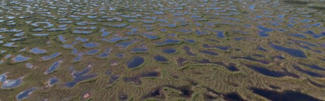 The humble plant that could save the world — or destroy it