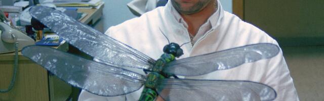 Study Challenges Popular Theory on Why Primordial Bugs Were So Darn Huge