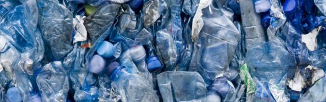 Scientists Sound the Alarm Over Plastics in Our Brains After Shocking Study