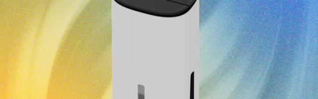 Why a Dehumidifier Is One of My Favorite Gadgets