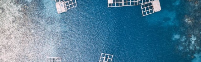 Today in funding: Curbie Cars, Loopt, Myant, Innovate BC award winners