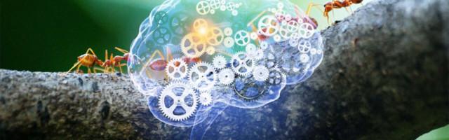 To achieve AGI, we need new perspectives on intelligence