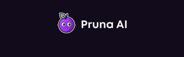 Pruna AI raises $6.5 million to make AI development faster, cheaper and greener