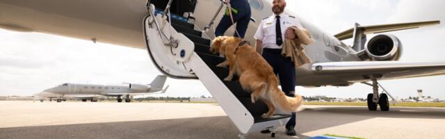 The New Era of Dog Travel: Inside Bark Air’s Bold Next Chapter