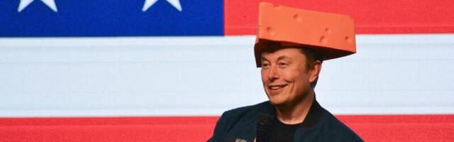 Elon Musk says DOGE is 'a way of life, like Buddhism' and could last until 2029
