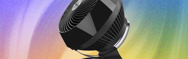 The 13 Best Fans for the Coolest Summer (2025)