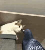 Генерация видео с помощью Wan2.2: установка и первые впечатления