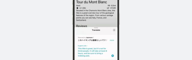 iPhone Apps Can Integrate With Translate App on iOS 17.4 and Later