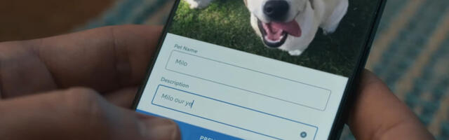 Ring Aims Its 2026 Super Bowl Commercial Directly At Pet Lovers Everywhere