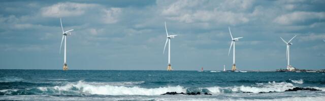 'We're buzzing': Octopus Energy is giving away more free electricity to its 8 million customers — and it could stop the UK wasting £1.5 billion to shut down wind farms