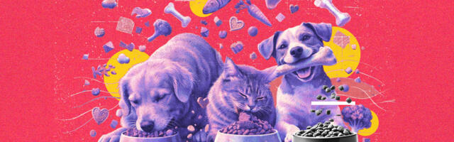 Gourmet On The Pet Plate