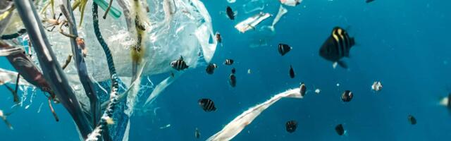 10 greentech startups tackling Europe’s waste problem