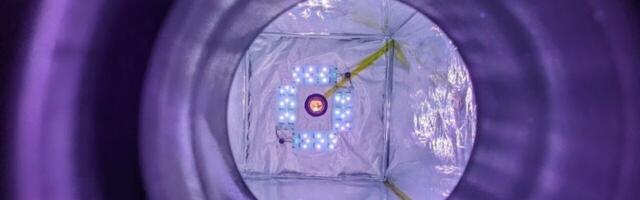 New ‘methane cleaner’ reactor could reduce emissions from livestock