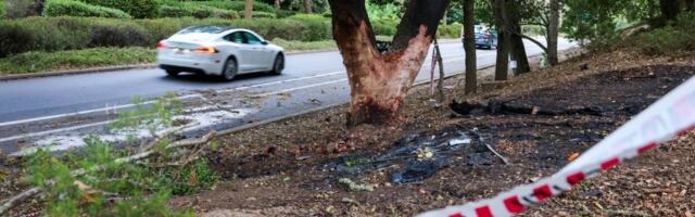 Federal regulators are investigating fiery fatal East Bay crash of VinFast EV