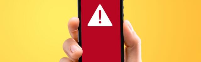 From Temu Emails to Voice Cloning, the Worst Scams of 2024