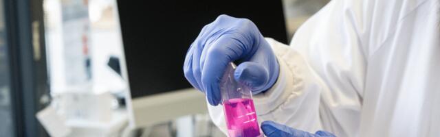 French BioTech company ErVimmune raises €17 million to tackle hard-to-treat cancers