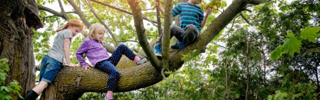 8 Saturday morning rituals from boomer childhoods that created a sense of magic kids today don’t get to feel