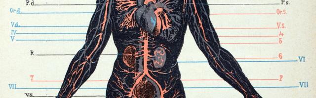 You probably have “forever chemicals” in your body. Here’s what that means.