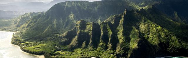 How new regulations and investor focus force startups to be sustainable from day one