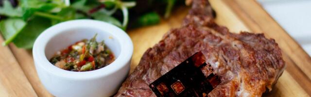 Raspberry Pi project is well done, uses AI to cook meat to perfection