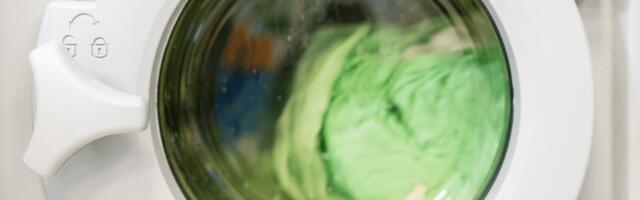 Sustainability beyond rhetoric: Navigating authentic commitments in a greenwashing era