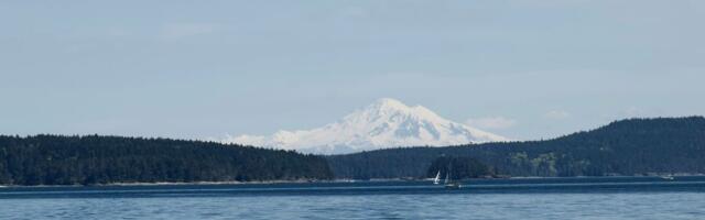 How to Find Venture Capital: A Beginner’s Guide